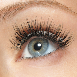 Eyelash Extensions Charlotte